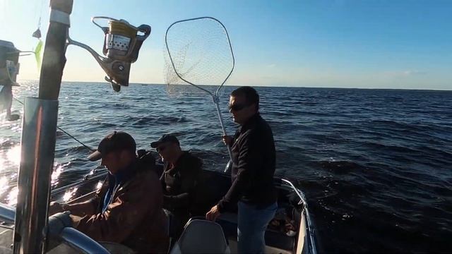 СУДАК НА РЫБИНКЕ смотреть онлайн