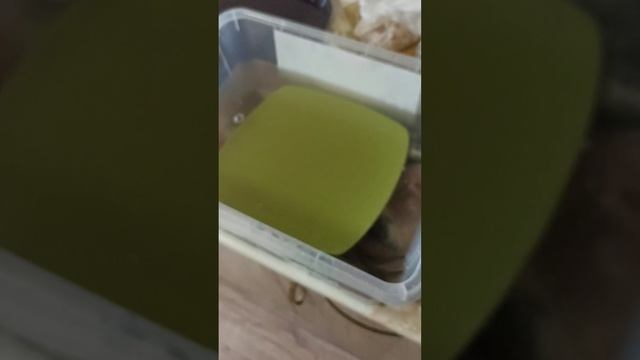 Холодное копчение горбуша,скумбрия ,толстолобик