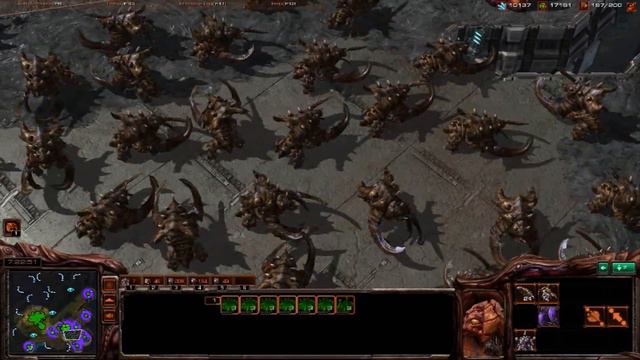 Starcraft 2 [HD] - Zerg Dance Party! смотреть онлайн