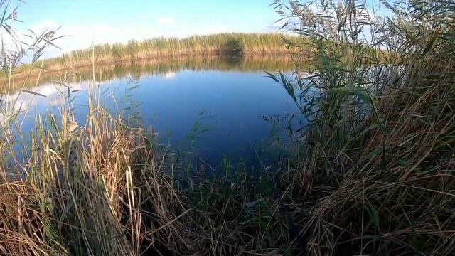 ЗАБЫЛ СНАСТИ НО РЫБАЛКА УДАЛАСЬ ЛОВЛЯ ЩУК на бутылки с живцом,карась ..Рыбалка с ЛЁХОЙ в КАЗАХСТАНЕ смотреть онлайн