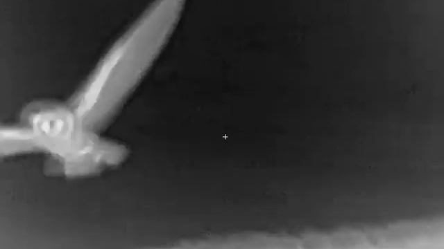 iRay Saim SCP 19W смотреть онлайн