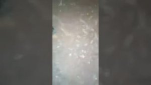 Как укоротить кардан не нарушив центровку без токарного станка