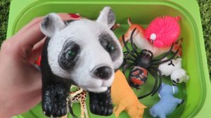 Learn Sea Animals and Zoo Animals with Pink Fish and Full Pool of Animal Toys For Kids