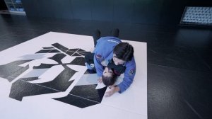 Атака армбар из s-маунт / БЖЖ