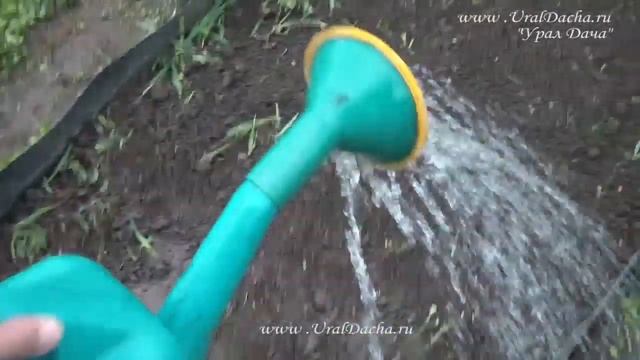 КАК ПРИГОТОВИТЬ ЭМ УДОБРЕНИЕ. Сияние 1 природное земледелие.mp4