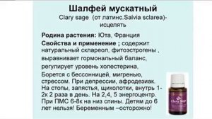 Эфирное масло шалфея мускатного