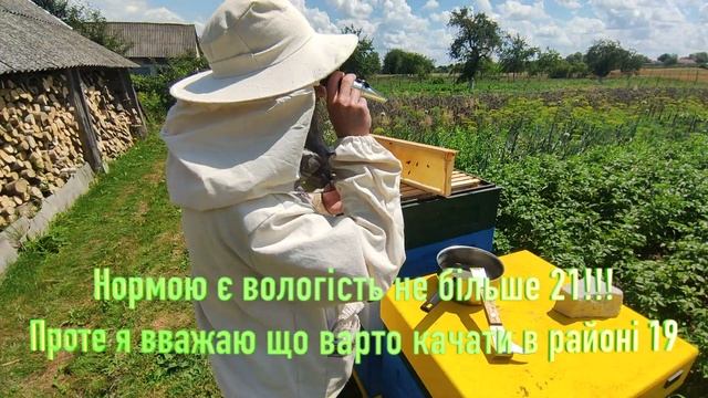 Експеремент ВДАВСЯ! Вимірюєм вологість меду. Пасічництво))) смотреть онлайн
