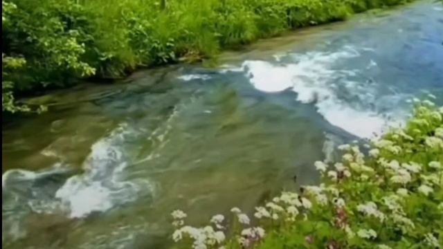 Морские приключения с Корабелем