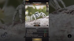 The Ants. Underground kingdom. Улучшение дикого существа азартным путём