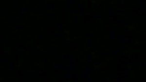 Коты Воители... Огонь и Лёд 1 часть.