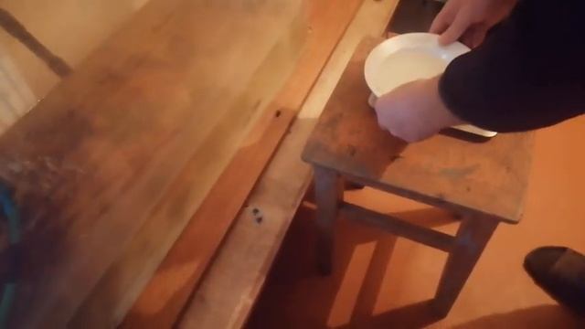 Скорость роста клариевого африканского сома. 1 месяц. смотреть онлайн