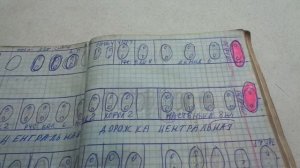 Какие томаты я больше никогда не буду выращивать в теплице? Ольга Чернова.