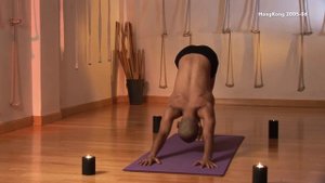 Hatha Yoga for Beginners level 2 | Hatha Yoga Video In English By Dr Varunveer |  Varun Yoga