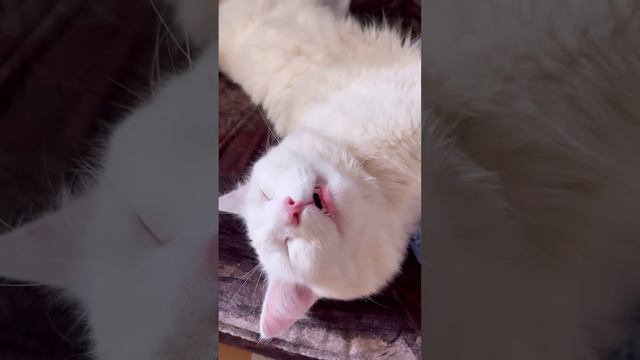 Ты че такая пьяная 🥴