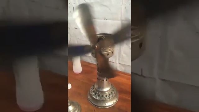 Человеческая гениальность не ограничена...mp4