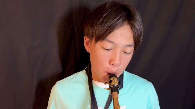 American Patrol #americanpatrol #saxophone #flute