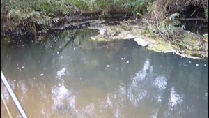 рыбалка на пехорке #рыбалка #пехорка #спиннинг