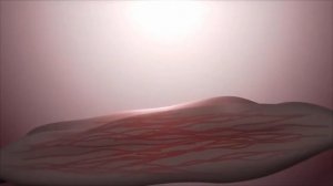 НОВЫЙ ? ПОЛИПЕПТИДНЫЙ КОСМЕТИЧЕСКИЙ КОМПЛЕКС FOHOW ДЛЯ ? ОСНОВНОГО И ? ПРОФЕССИОНАЛЬНОГО УХОДА