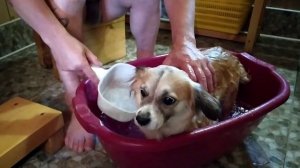 Супер..Буся.!!!