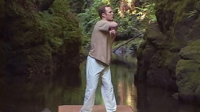 Qi Gong For Upper Back Pain Short Standing Routine