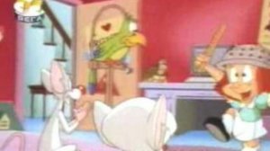 Пинки и Брейн 56