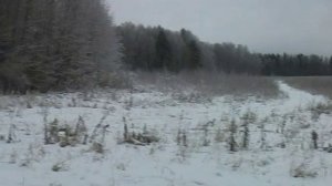 Охота на лося в Подмосковье. Moose hunting near Moscow