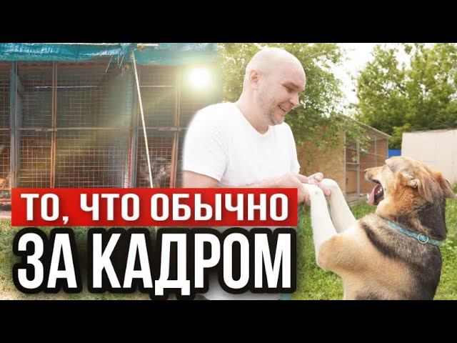 Как живут «дети» Зоомамы? То что обычно за кадром | ЗООГОСТИНИЦА