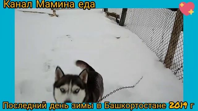 Последний день зимы в Башкортостане смотреть онлайн