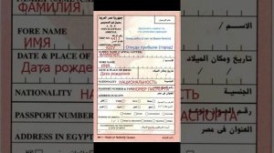 Египет. Как сэкономить деньги в аэропорту Sharm El Sheikh