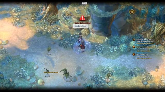 Tree of Savior (English Ver.) steam смотреть онлайн
