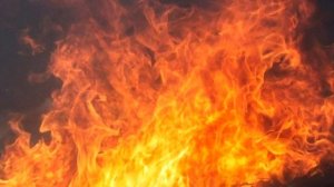 Чалолиддини Руми (Балхи)