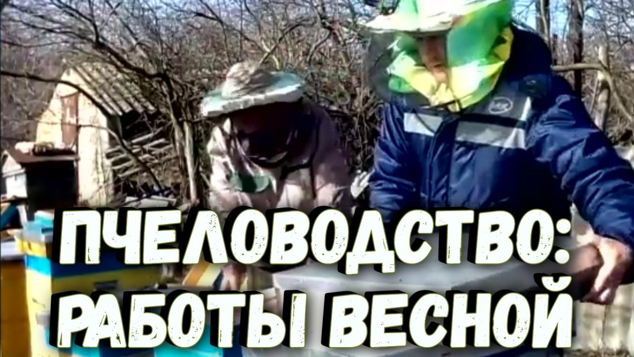 Весенние работы на пасеке