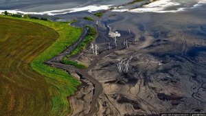 Глобальные экологические проблемы человечества..mp4