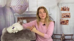 Плюсы и минусы породы мальтезе.