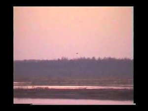 Песня "Заря над лесом" в исполнении Орловой Татьяны