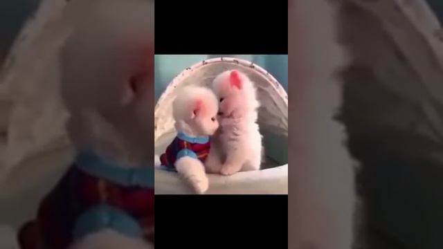 Что будем делать сегодня? Братья наши меньшие) смотреть онлайн