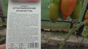 Обзор томатов сортов Зеленая Груша и Итальянские спагетти