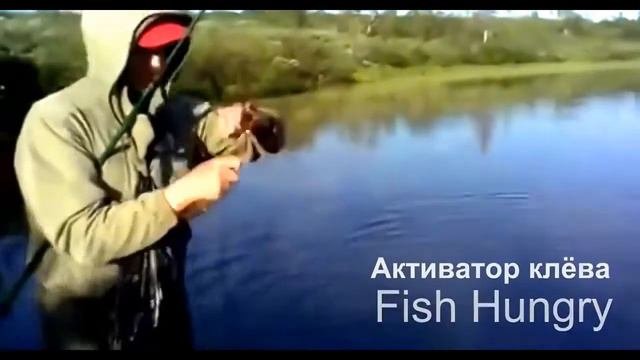 Рыбалка в Челябинской области новости с водоемов