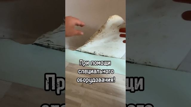 Точный поиск протечки воды под плиткой