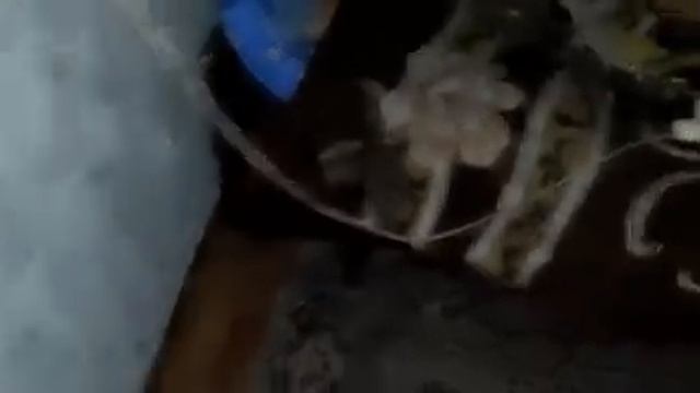 202½ смотреть онлайн