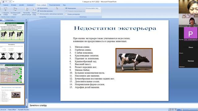 Вебинар по линейной оценке типа телосложения голштинского скота, кондициям животных, 14.11.22