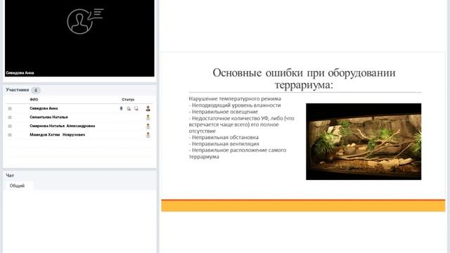 Правила содержания грызунов, рептилий и других экзотических животных в домашних условиях летом.