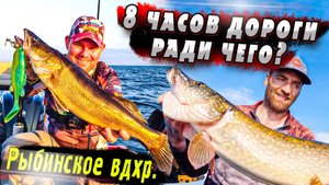 Спонтанная Рыбинка | Денис Вихров