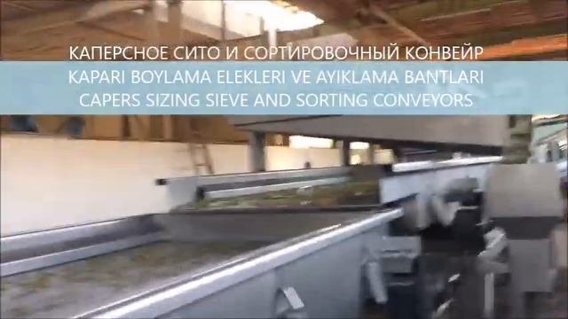 CAPERS PROCESSING LINE / KAPARI İŞLEME HATTI /ПРОИЗВОДСТВЕННАЯ ЛИНИЯ КАПЕРСОВ
