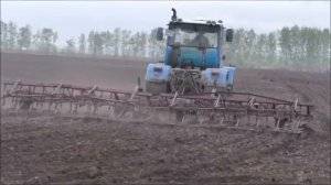Высеваем семена подсолнечника и удобряем почву