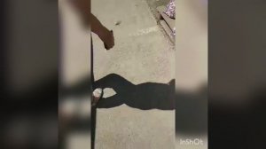 2 ИЮНЯ РЫНОК БОЛЬШИЕ КОПАНИ ЦЕНЫ НА ОВОЩИ ПОЛНОЕ ВИДЕО.