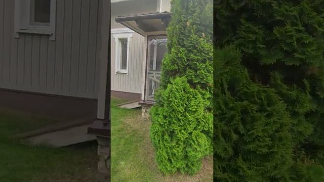 Идеально вписанные конструкции из мягких окон на эту веранду. В этом посёлке есть окна и других..