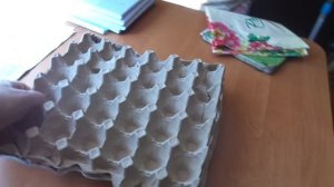 Лайфхак . Супер ловушка для тараканов !!!