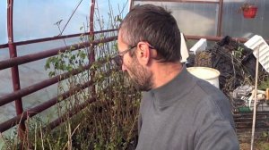 Посадка саженцев с окс