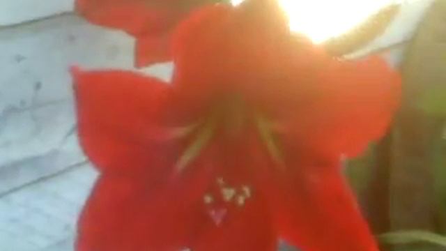 12 de agosto de 2018 смотреть онлайн